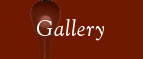 Chocolate Fountain Gallery